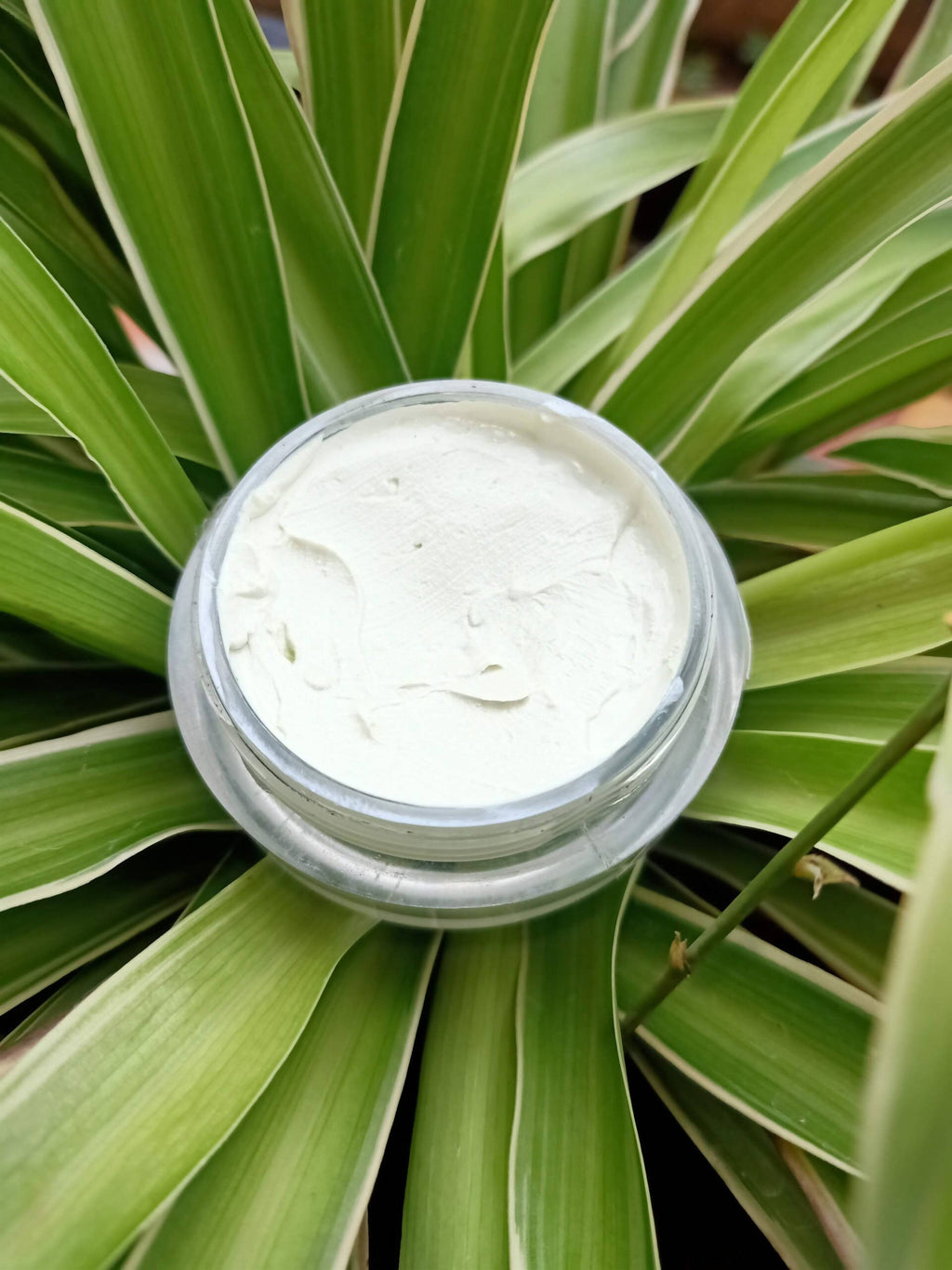 Rustic Art Sunscreen SPF 30+ Broad Spectrum | Grocsy