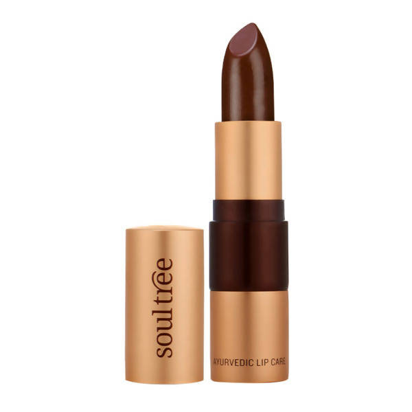 Soultree Ayurvedic Lipstick Creamy Cacao 815 | Grocsy