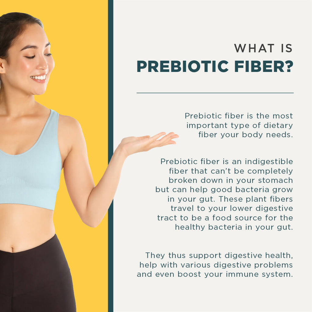 Wellbeing Nutrition Daily Fiber Powder-Pina Colada Flavor | Grocsy