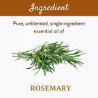 Mitti Se Rosemary Essential Oil | Grocsy