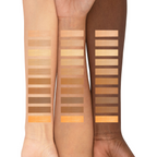 PAC Ultra Studio HD Foundation X10 - [C] (7gm Each) | Grocsy