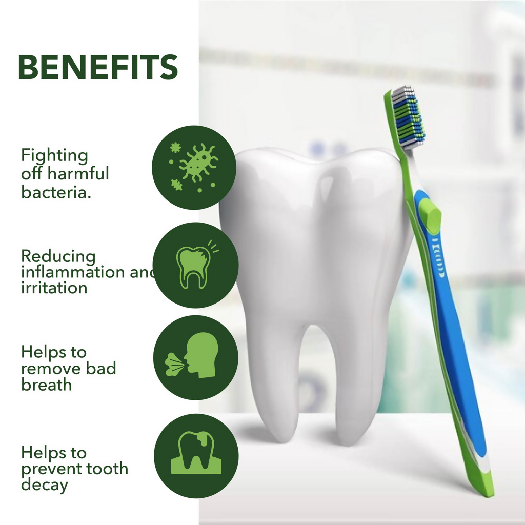 Herbs & Hills Natureroot Aloe Toothpaste | Grocsy