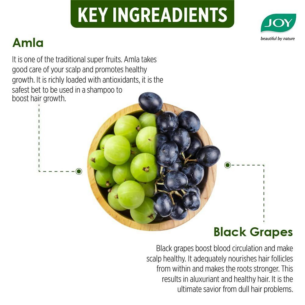 Joy Shining Black Amla Conditioning Shampoo | Grocsy
