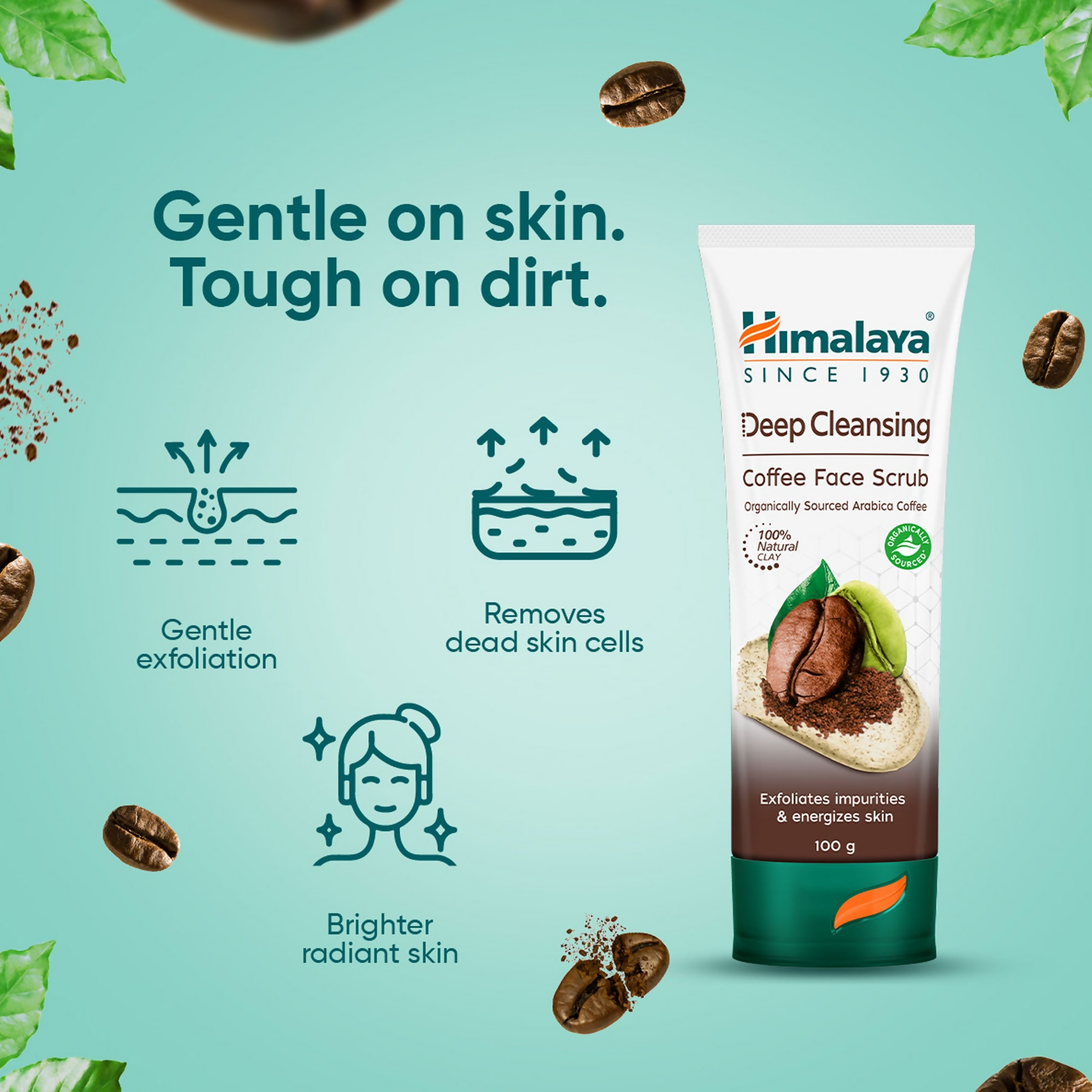 Himalaya Herbals Deep Cleansing Coffee Face Scrub | Grocsy