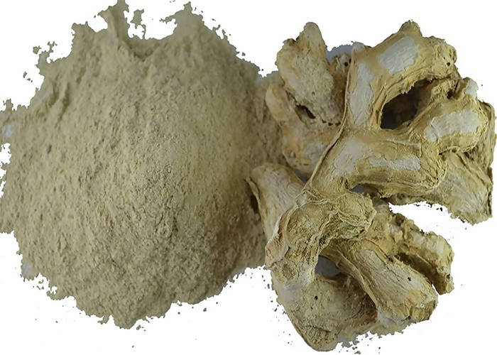 Dark Forest Dry Ginger Powder | Grocsy