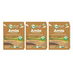 Nutriorg Certified Organic Amla Powder | Grocsy