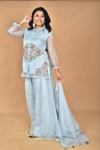 Morchari Women And Hand Embroidery Palazzo Set-Sky Blue | Grocsy