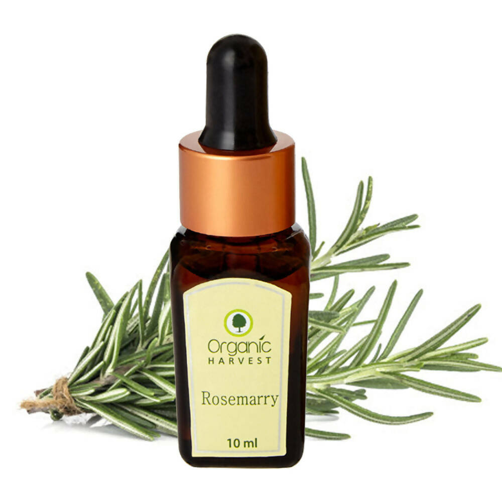 Organic Harvest Rosemary Essential Oil | Grocsy