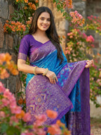 Shree Shyam Fashion Blue Pochampally Silk Saree | Grocsy