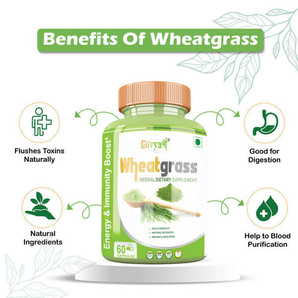 Divya Shree Wheatgrass Capsules | Grocsy