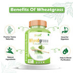 Divya Shree Wheatgrass Capsules | Grocsy