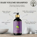 Ivory Natural Hair Volume Shampoo For Thicker And Voluminous Hair | Grocsy