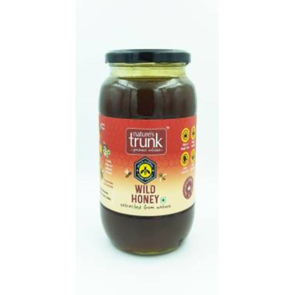 Nature's Trunk Wild Honey | Grocsy