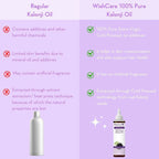 Wishcare 100% Pure Cold Pressed Castor Oil & Kalonji Black Onion Seed Oil Combo | Grocsy