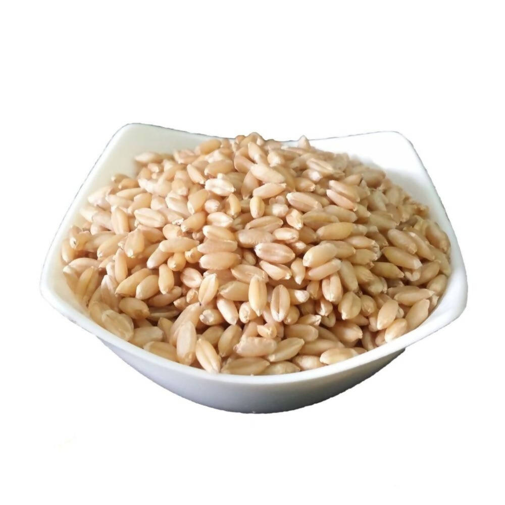 FreshOn Whole Wheat Atta Standard - Swadesiicart