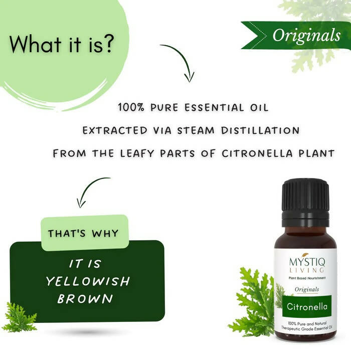 Mystiq Living Originals Citronella Essential Oil | Grocsy