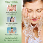 Ayouthveda Neem and Moringa Face Wash | Grocsy