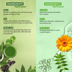 Botanic Hearth Neem & Salicylic Acid Bodywash & Facewash | Grocsy