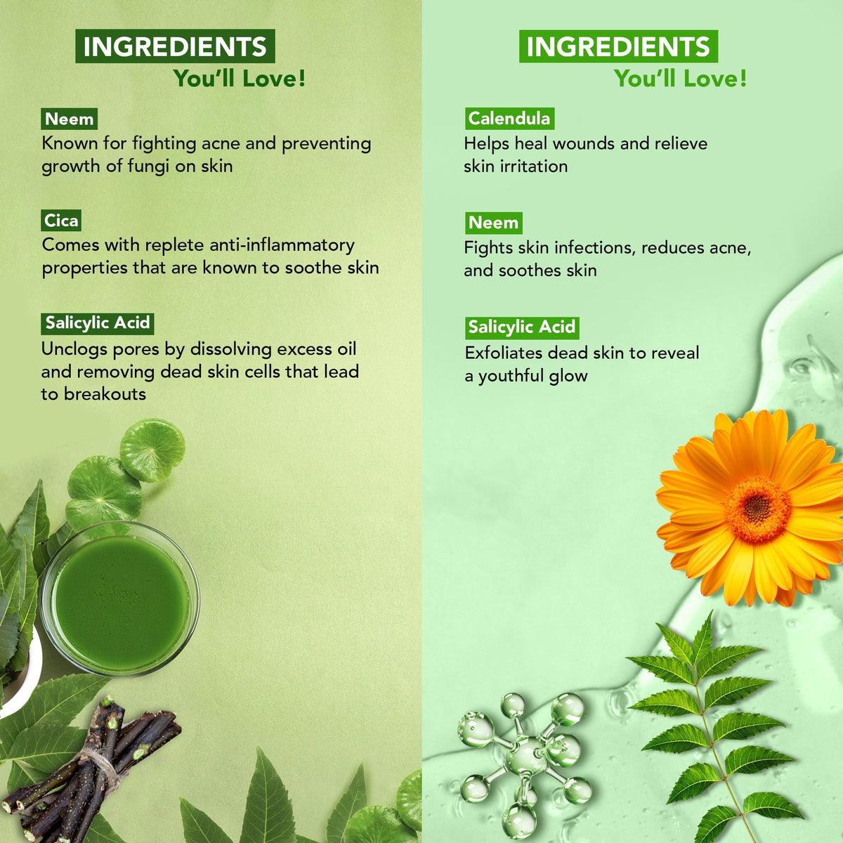 Botanic Hearth Neem & Salicylic Acid Bodywash & Facewash | Grocsy