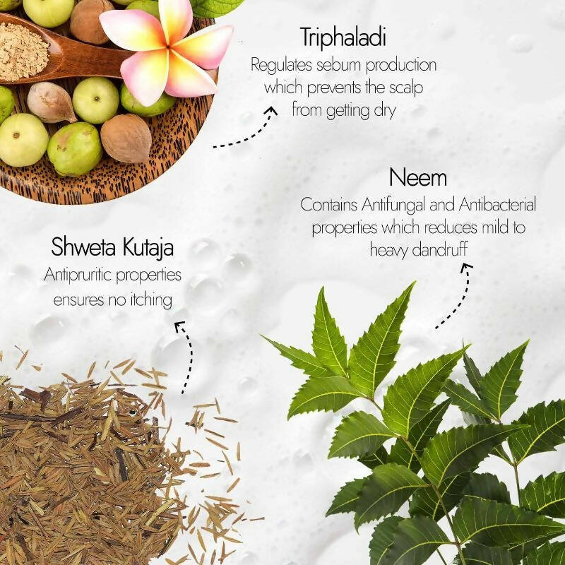 Kapiva Ayurveda Hair Rituals Neem Triphaladi Shampoo for Dandruff Control | Grocsy