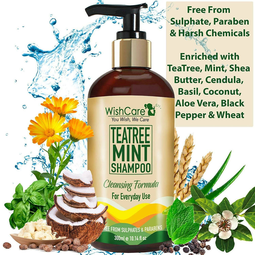 Wishcare Tea Tree Mint Shampoo | Grocsy