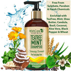 Wishcare Tea Tree Mint Shampoo | Grocsy