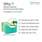 Merlion Naturals Aloe Vera & Cucumber Glycerine Soap | Grocsy