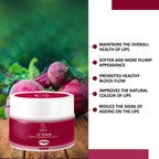 7 Days Organic Beetroot Lightening Balm for Dark, Chapped & Pigmented Lips Scrub | Grocsy