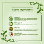 Earth Science Ayurveda Amla & Bhringraj Hair Oil | Grocsy
