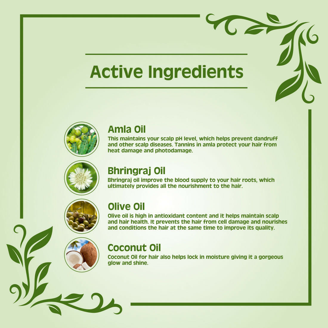 Earth Science Ayurveda Amla & Bhringraj Hair Oil | Grocsy