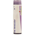 Boiron Homeopathy Iris Versicolor | Grocsy