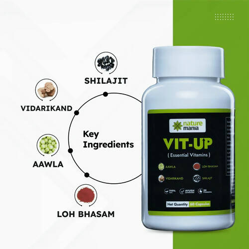 Nature Mania Vit-Up Capsules (Vit D & Vit B12 Multivitamin) | Grocsy