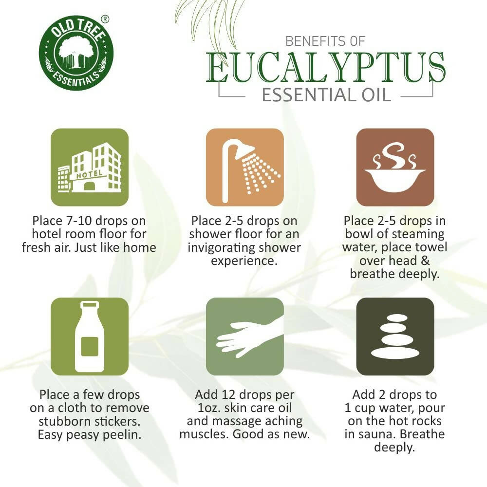 Old Tree 100% Pure Eucalyptus Essential Oil | Grocsy