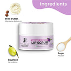 Pilgrim Spanish Lip Scrub (Blueberry) For Dark Lips, Gentle Exfoliation, Hydrated, Smooth & Soft Lips | Grocsy