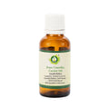 R V Essential Pure Camellia Carrier Oil | Grocsy