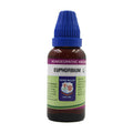 Father Muller Euphorbium Mother Tincture Q | Grocsy