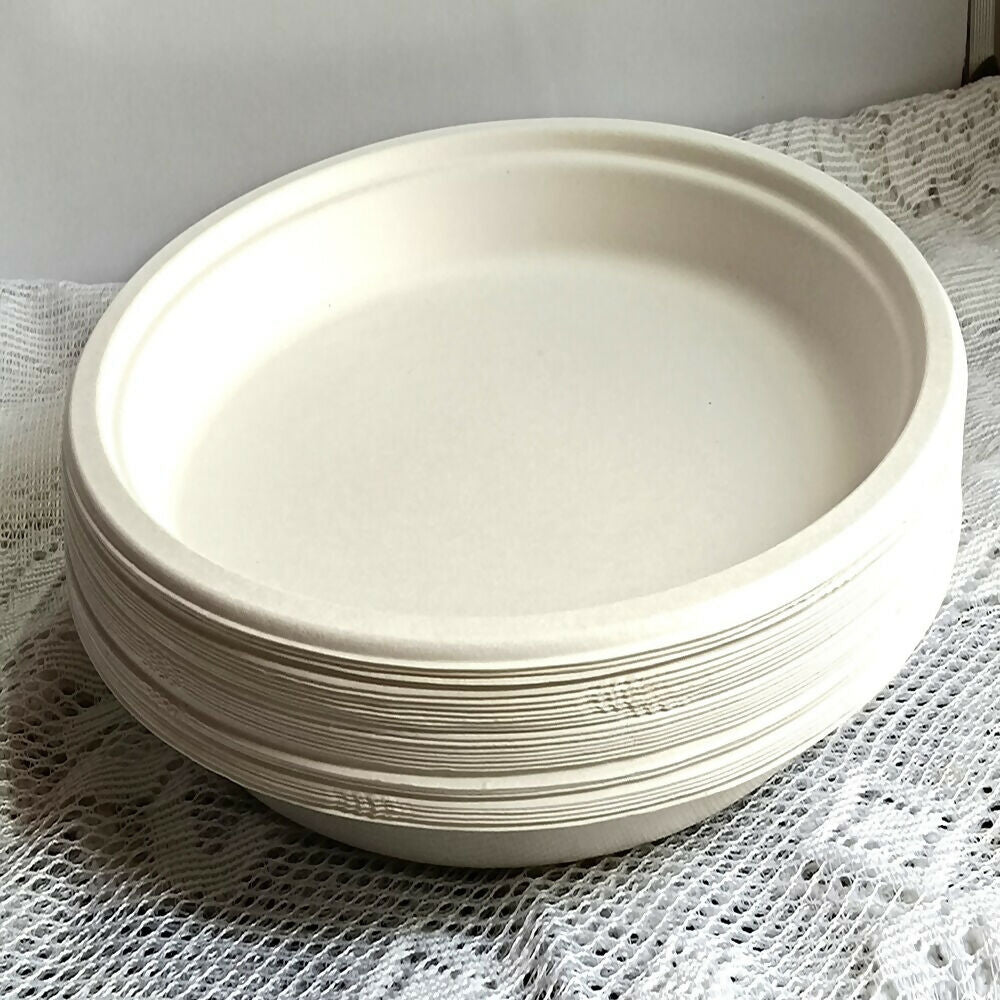 Disposable Round Plane Plates Big | Grocsy