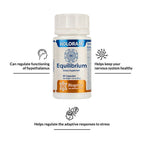Biogetica Holoram Equilibrium | Grocsy