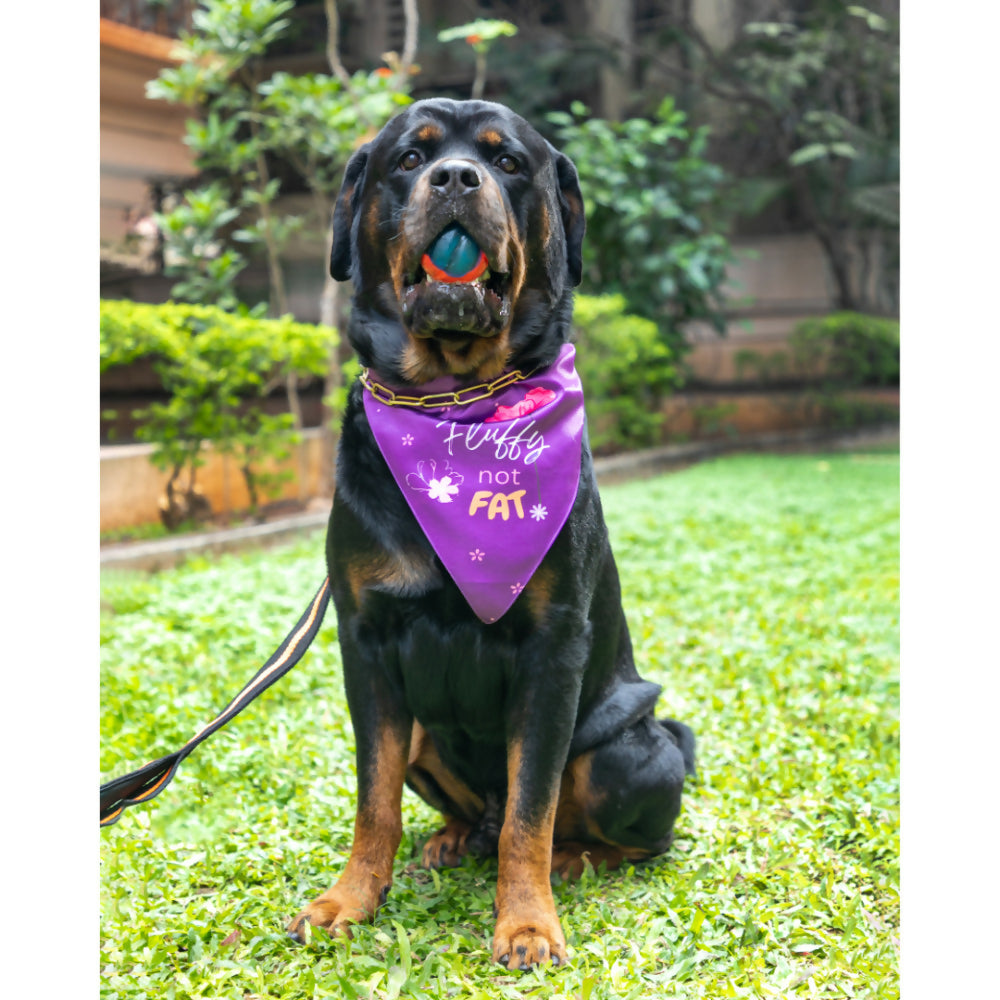 Waggety Dog Bandana - Fluffy Not Fat, Design Soft Fabric, Stylish Pet Accessory for Dogs - Purple | Grocsy