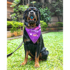 Waggety Dog Bandana - Fluffy Not Fat, Design Soft Fabric, Stylish Pet Accessory for Dogs - Purple | Grocsy