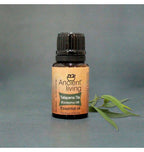 Ancient Living Tailaparna Tila (Eucalyptus Oil) Essential Oil | Grocsy