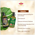 Inveda Anti Pollution Haircare Expert Kit | Grocsy
