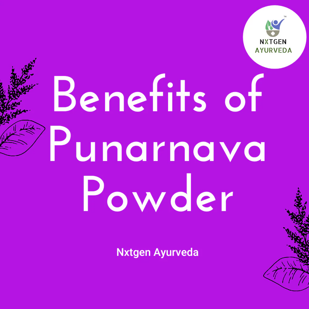 Nxtgen Ayurveda Punarnava Powder | Grocsy