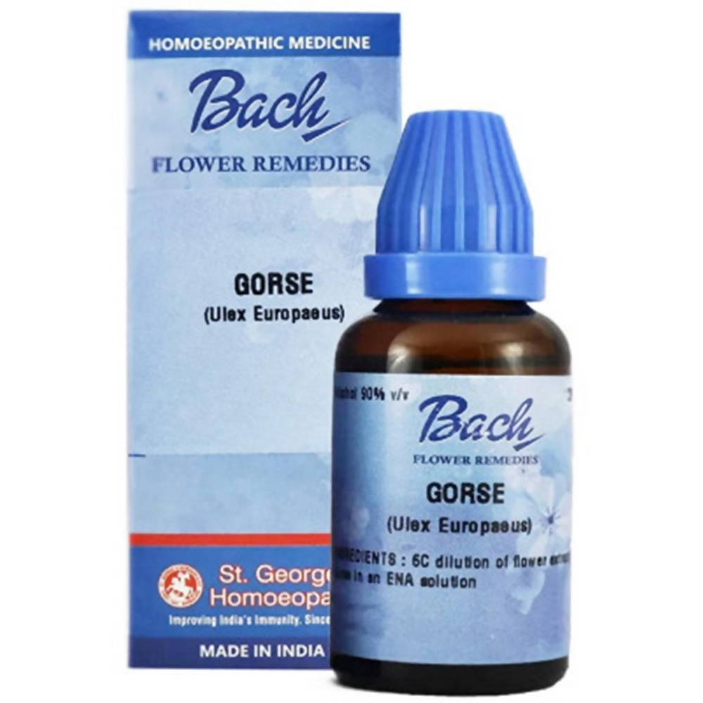 St. George's Bach Flower Remedies Gorse Dilution | Grocsy
