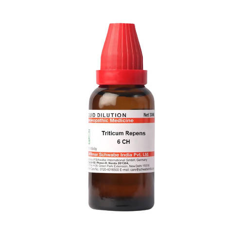 Dr. Willmar Schwabe India Triticum Repens Dilution | Grocsy
