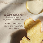 Moroccanoil Oily Scalp Treatment For Oily, Imbalanced Scalps | Grocsy