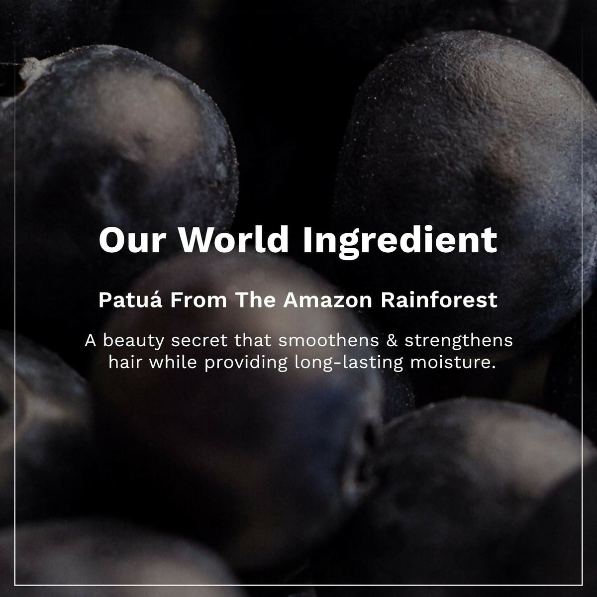 Pilgrim Patua & Keratin Hair Smoothening Shampoo For Dry & Frizzy Hair | Grocsy