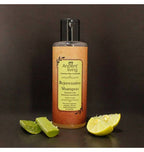 Ancient Living Rejuvenative Shampoo | Grocsy