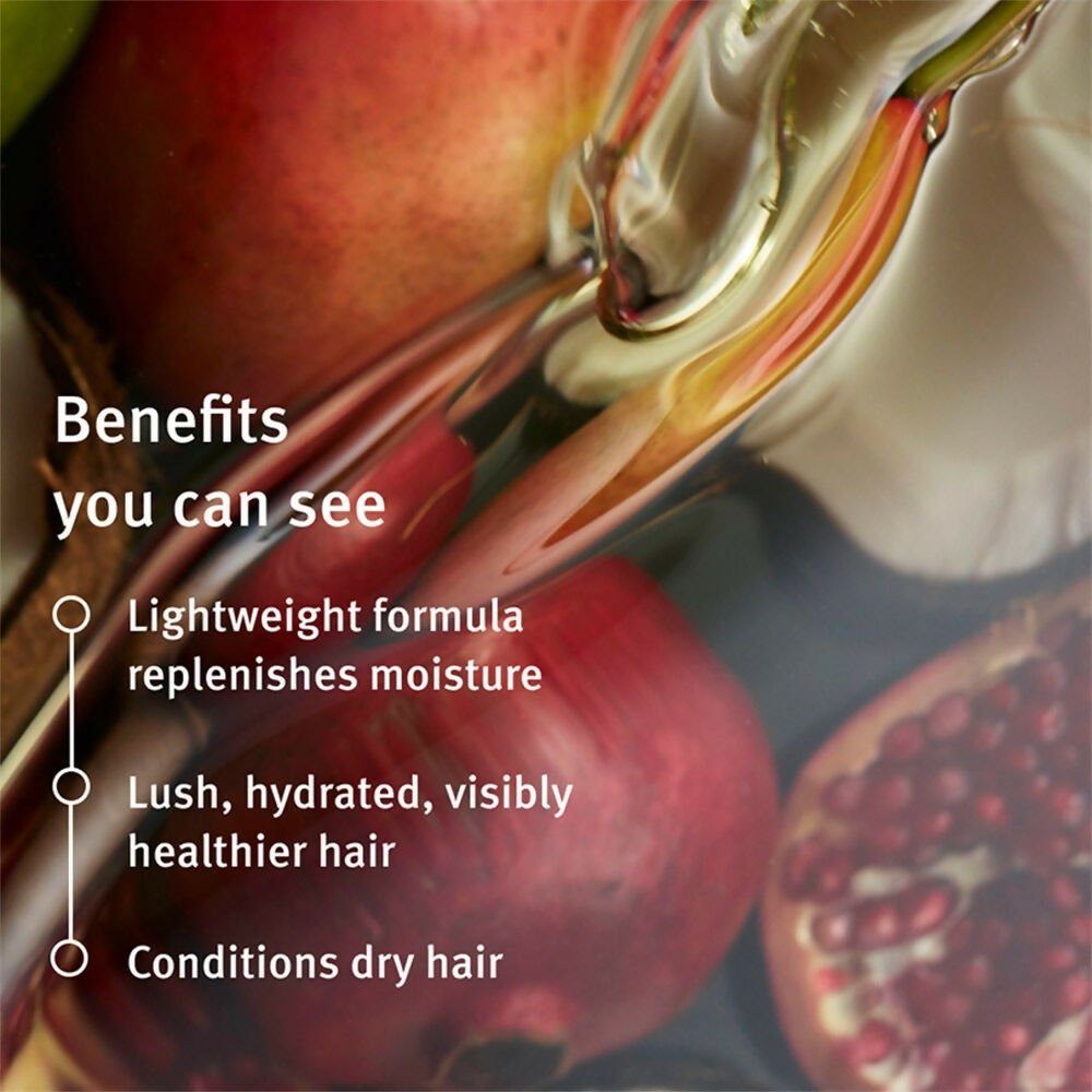 Aveda Nutriplenish Light Hydration Conditioner for Dry & Frizzy Hair with Coconut Oil | Grocsy