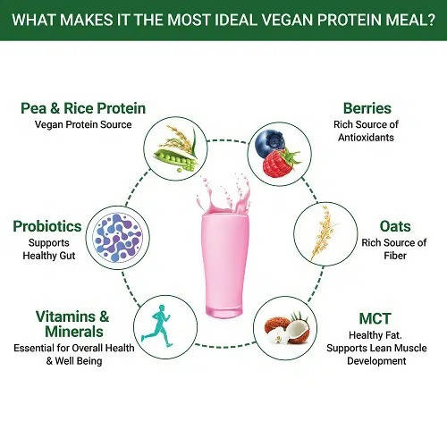 Inlife Vegan Protein Meal Mixed Berry Flavour | Grocsy